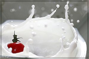 comp__MG_9558 Kopie.jpg