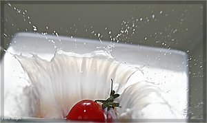 comp__MG_9567 Kopie.jpg