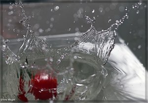 comp__MG_9555 Kopie.jpg