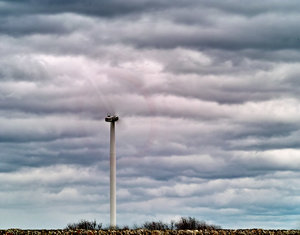 SDIM0168 Kopie.JPG SDIM0168 Kopie.JPG