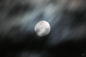 Bilderforum SDIM4984 (c) PPf.jpg Bilderforum SDIM4984 (c) PPf.jpg