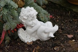 Bilderforum SDIM5028 (c) PPf.jpg