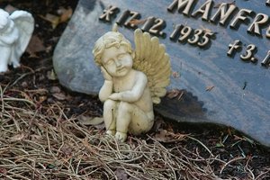 Bilderforum SDIM5045 (c) PPf.jpg