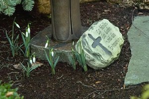 Bilderforum SDIM5049a (c) PPf.jpg