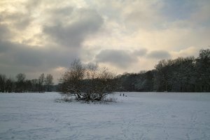 Pott_Winter_DP1 - SDIM1374.jpg