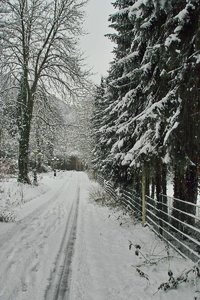 Pott_Winter_SD14 - SDIM3297.jpg