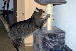 _DSC0124_030a Kopie.jpg