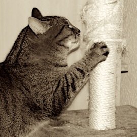 _DSC0124_030a Kopie.jpg _DSC0124_030a Kopie.jpg