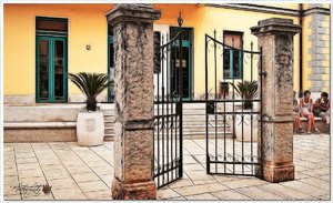 comp__DSC2541.jpg comp__DSC2541.jpg