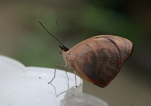 IMG_2111.JPG IMG_2111.JPG