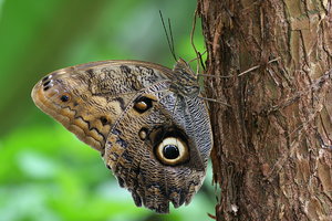 IMG_2204.JPG IMG_2204.JPG