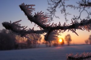 Bild 4.jpg Bild 4.jpg