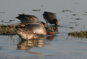 IMG_1123.jpg IMG_1123.jpg