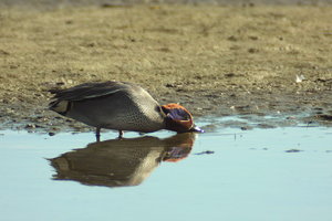 IMG_8761.jpg IMG_8761.jpg