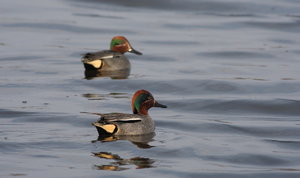 0I4O0259.jpg 0I4O0259.jpg