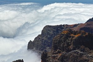 500k_SDIM3832.jpg 500k_SDIM3832.jpg