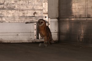 comp_IMG_1096.jpg comp_IMG_1096.jpg