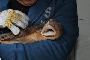 comp_IMG_1099.jpg comp_IMG_1099.jpg