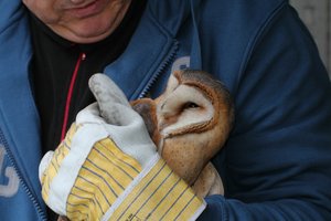 comp_IMG_1100.jpg comp_IMG_1100.jpg