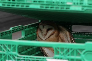 comp_IMG_1101.jpg comp_IMG_1101.jpg