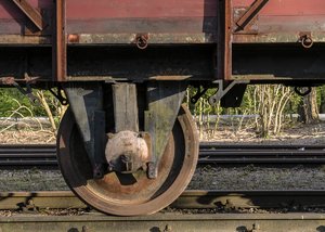 comp__DSC0843.jpg comp__DSC0843.jpg