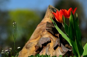 DSC_9437_ji_c.jpg DSC_9437_ji_c.jpg