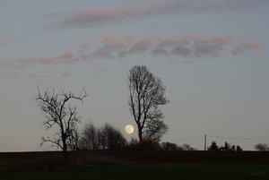 Forum DSC08551 Nex 5N + Helios 44M-4 58mm psf (c) PPf.jpg Forum DSC08551 Nex 5N + Helios 44M-4 58mm psf (c) PPf.jpg