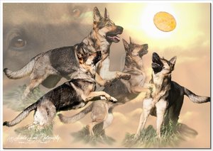 comp_Onatah Abendrot.jpg