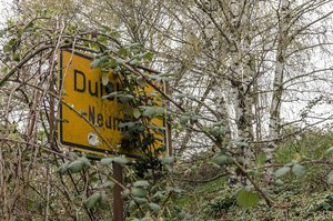 comp__DSC0870.jpg comp__DSC0870.jpg