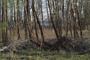 SDI0011_900x600.JPG SDI0011_900x600.JPG