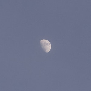 Mond_80mm_0029_JPGooSD15_600x600pix.JPG Mond_80mm_0029_JPGooSD15_600x600pix.JPG