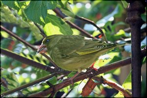 sample 14.jpg sample 14.jpg