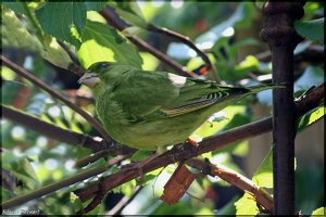 sample 15.jpg sample 15.jpg