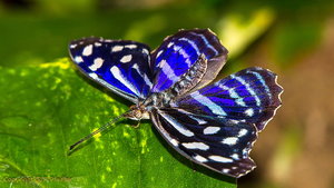 IMG_1505ff.jpg IMG_1505ff.jpg