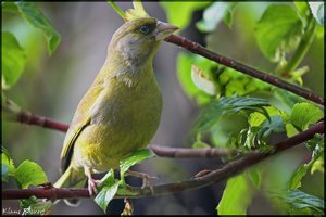 sample 16.jpg sample 16.jpg