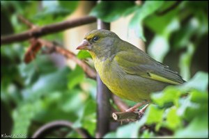 sample 17.JPG sample 17.JPG