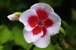 133004_Makro em_0007forum.jpg