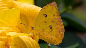 IMG_1161 (Andere).jpg