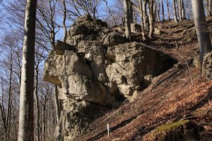 IMG_6691 (Andere).JPG