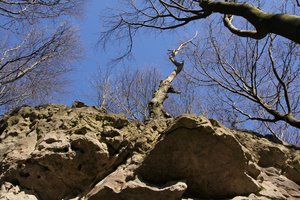 IMG_6730 (Andere).JPG