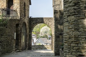 comp__DSC0912.jpg comp__DSC0912.jpg