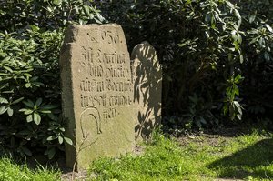 comp__DSC0980.jpg comp__DSC0980.jpg