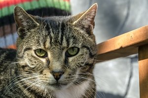 comp__DSC0995.jpg comp__DSC0995.jpg