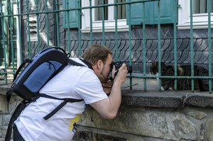 comp__DSC1001.jpg comp__DSC1001.jpg