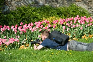 comp_DSC_9731.jpg comp_DSC_9731.jpg