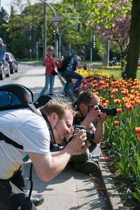 comp_DSC_9800.jpg comp_DSC_9800.jpg