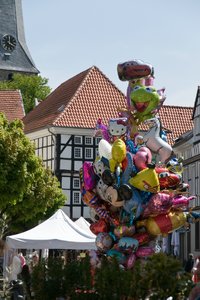 comp_DSC_9597.jpg comp_DSC_9597.jpg