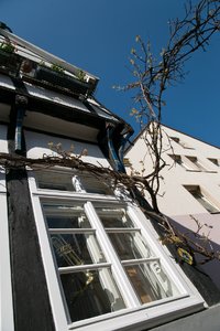 comp_DSC_9699.jpg comp_DSC_9699.jpg