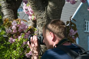 comp_DSC_9790.jpg comp_DSC_9790.jpg