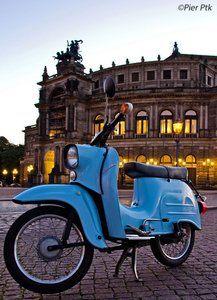 Schwalbe Semperoper.jpg